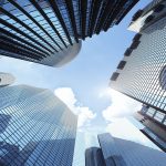 Individual Case Management